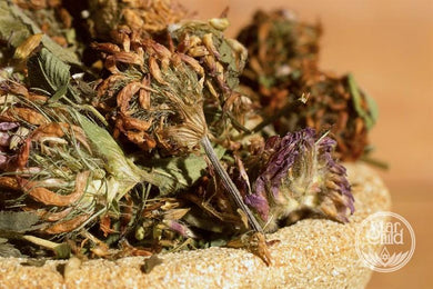 RED CLOVER ORGANIC - Star Child