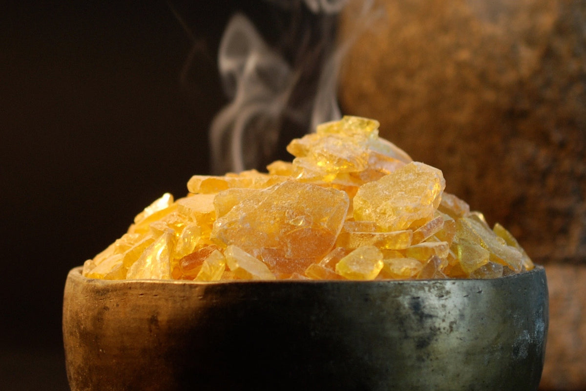 Colophony Resin Sacred Herb | Herbs, Gums & Resins | Star Child