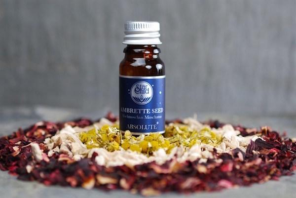 AMBRETTE SEED ESSENTIAL OIL | Star Child