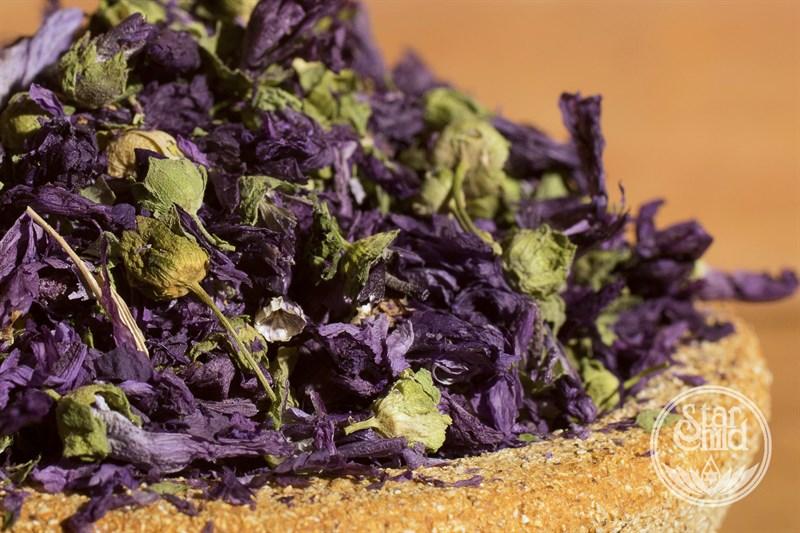 Malva Flowers Blue | Dried Herbs, Roots & Barks | Star Child