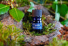BIRCH TREE PERFUME - Star Child