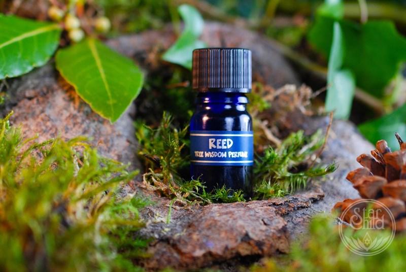 Jerry Reed Perfume REED TREE PERFUME | Star Child