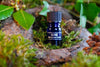 ELDER TREE PERFUME - Star Child