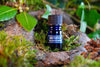 MISTLETOE TREE PERFUME - Star Child