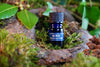 GORSE TREE PERFUME - Star Child