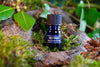 HEATHER TREE PERFUME - Star Child